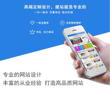 Professional website design service preview